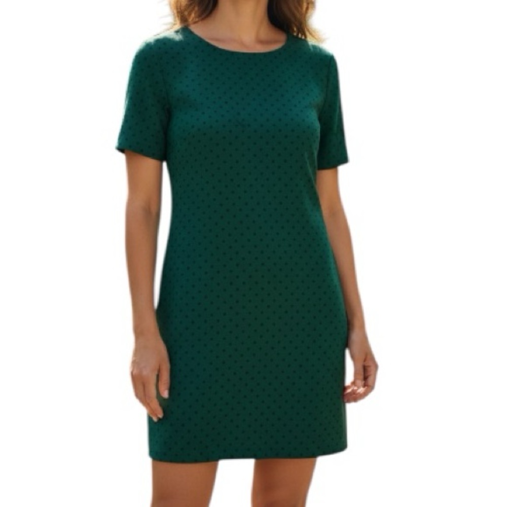 Banana Republic XS Petite Green Dress